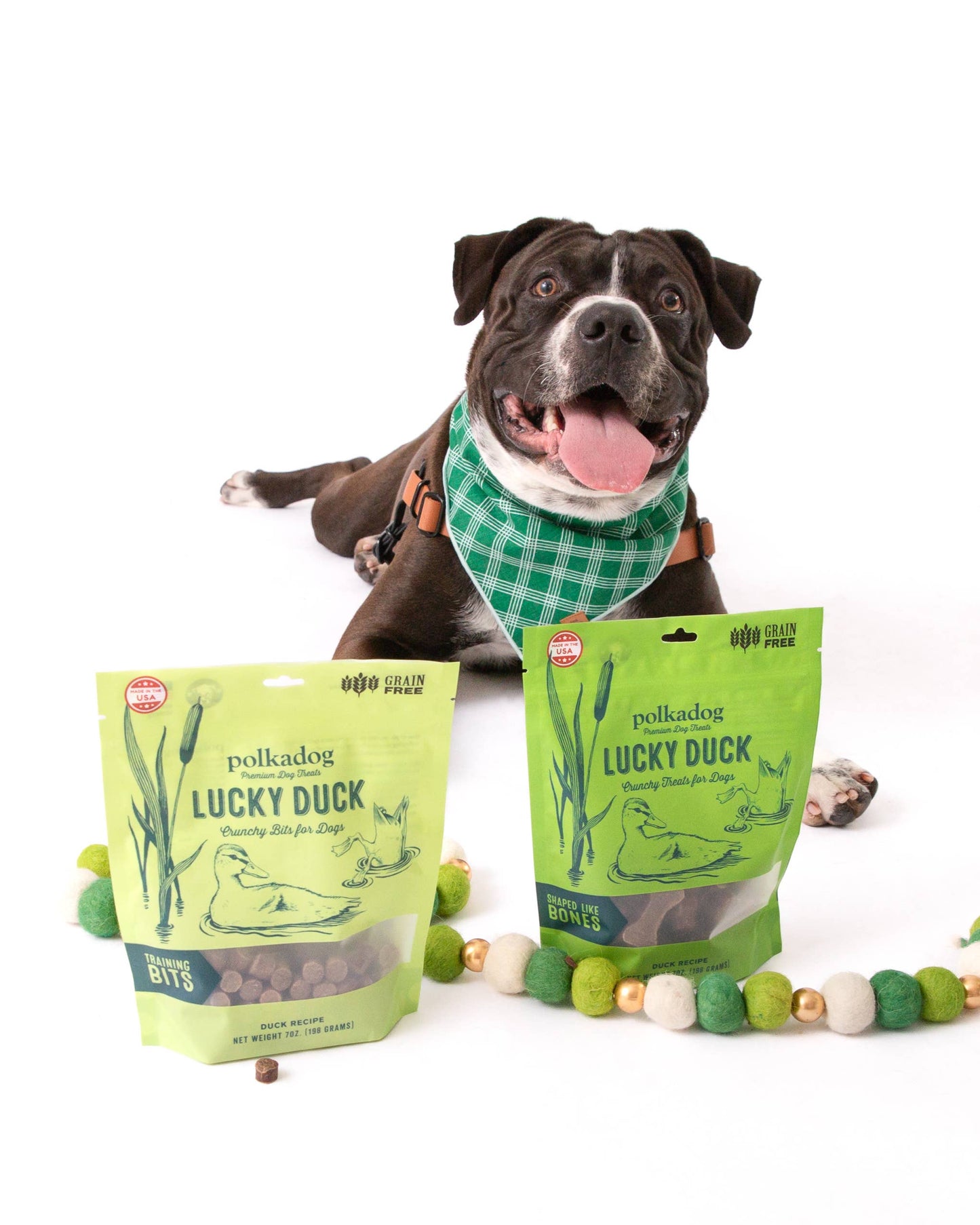 Lucky Duck Bones - 7oz - Dog Treats
